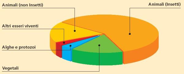 Si stima che attualmente le specie di Insetti descritte e catalogate dalla scienza siano oltre 950.000, cioè più del 50% di tutte le specie animali e vegetali messe insieme. Questo dato diventa ancor più sbalorditivo se si tiene conto che gli Insetti da soli costituiscono il 70% di tutte le specie animali e che probabilmente siano almeno 10.000.000 (dieci milioni) le specie di Insetti oggi viventi sulla Terra e non ancora descritte.