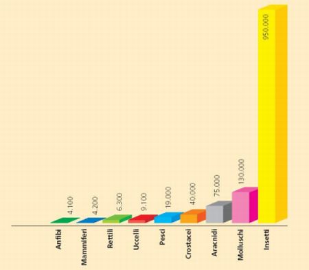 Questo grafico mostra la consistenza numerica delle specie di Insetti e di altri gruppi animali